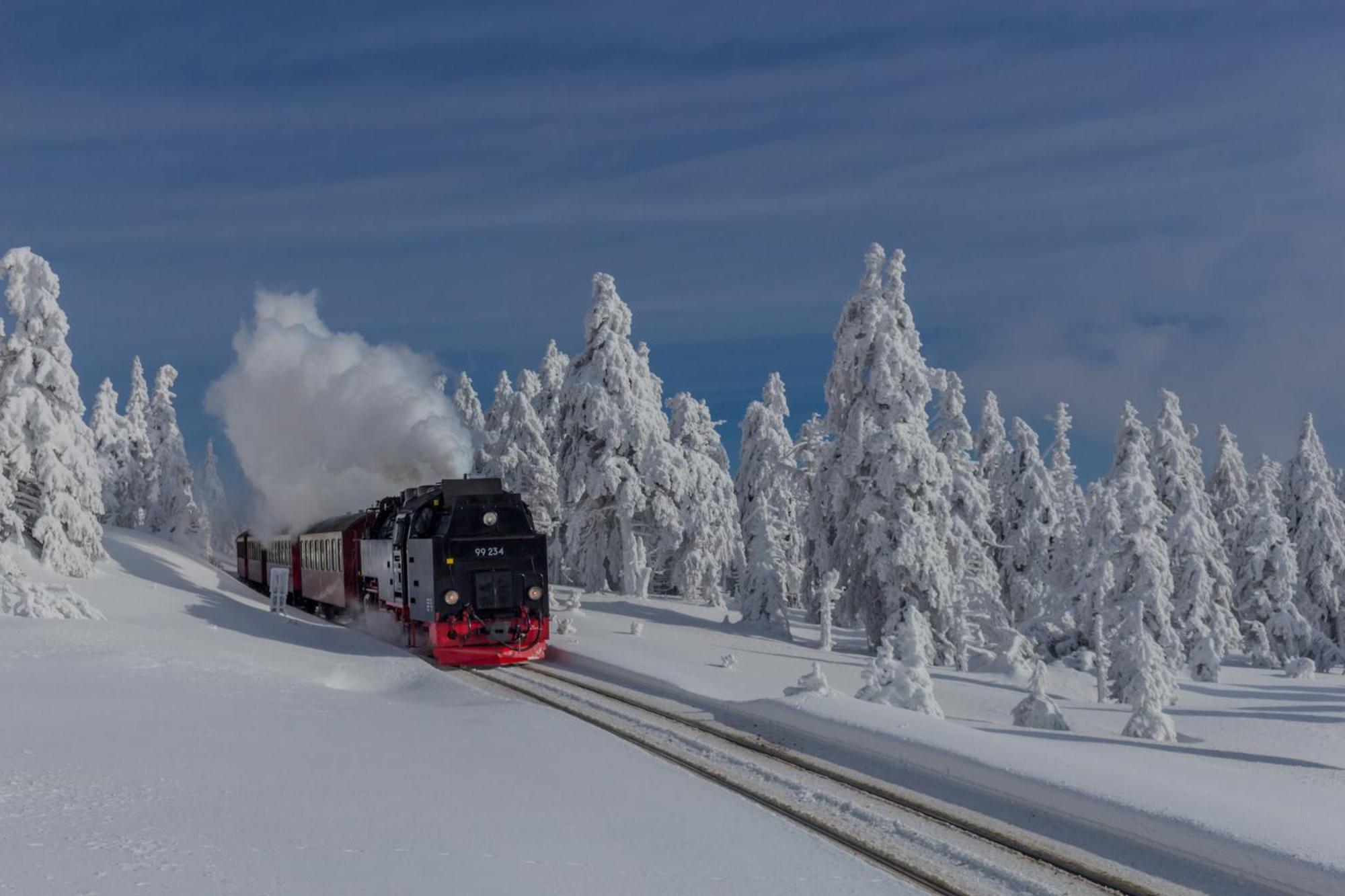Fewo Schloesschen #Innenstadt#Garten#Ruhige Lage Von Harztraveler Wernigerode Extérieur photo
